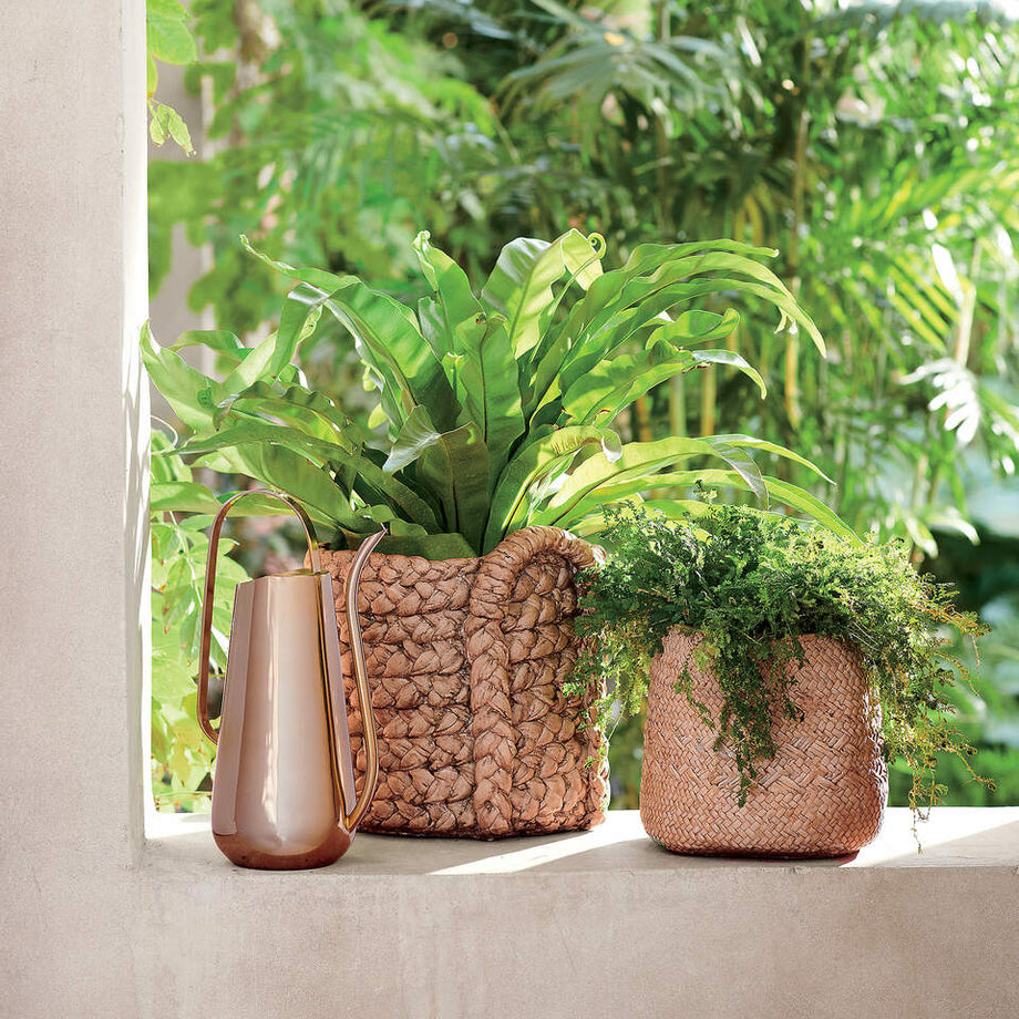 Pirinç Kaplamalı Sulama Kabı, El Yapımı