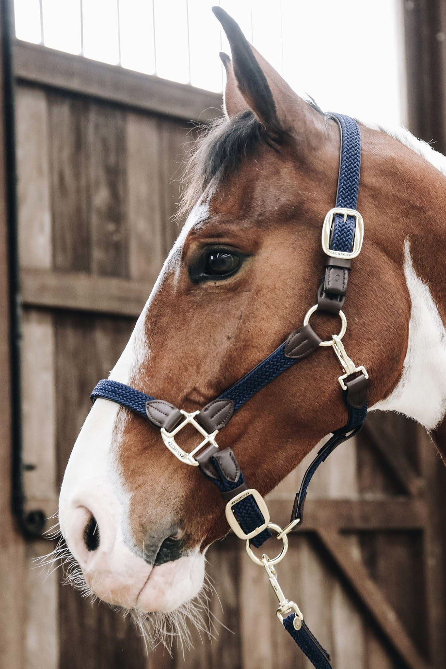 Plaited Nylon At Ahır Halteri Suni Deri