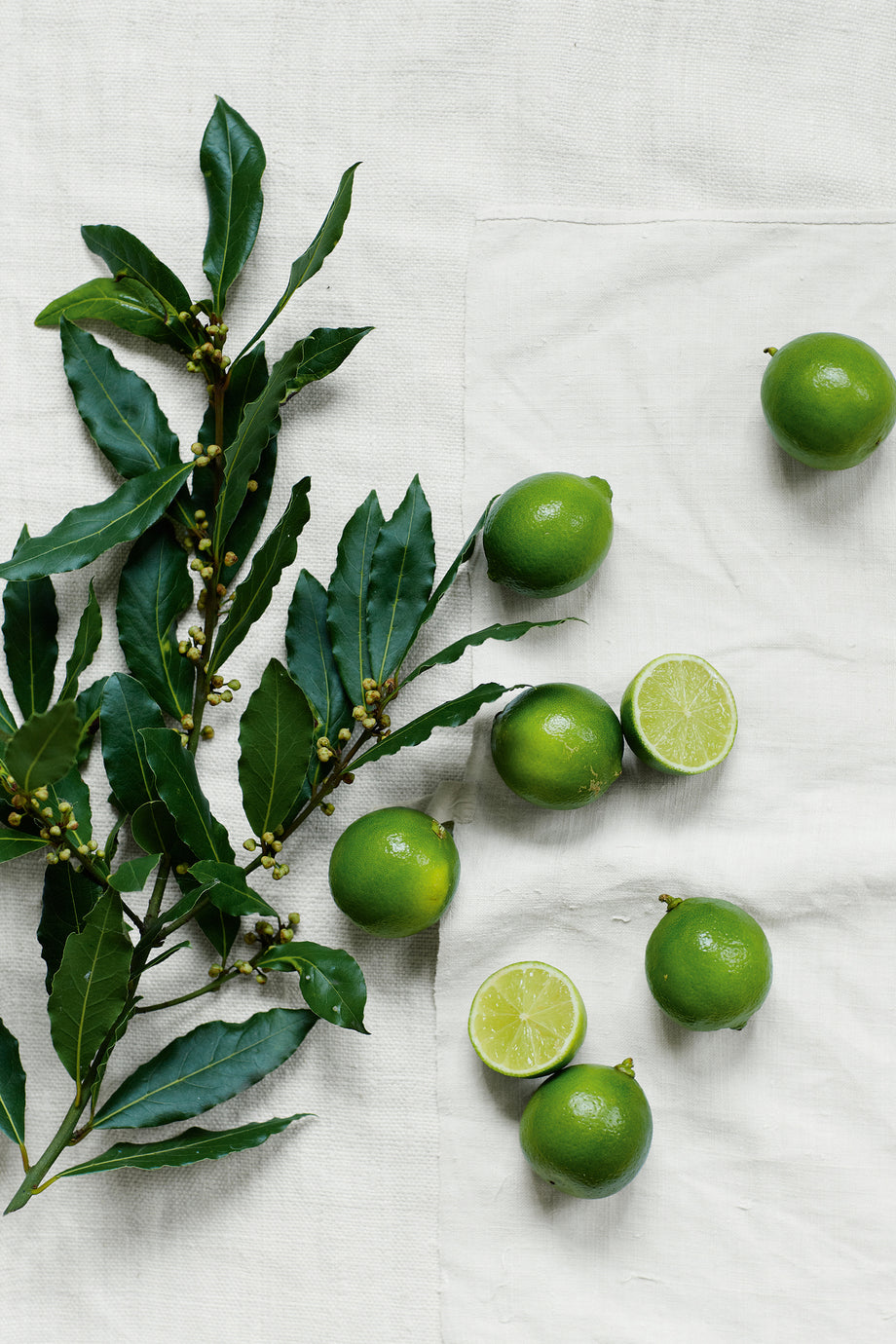 Akdeniz Bahçesi Esintili Lime & Bay Kokusuyla Şık Mum