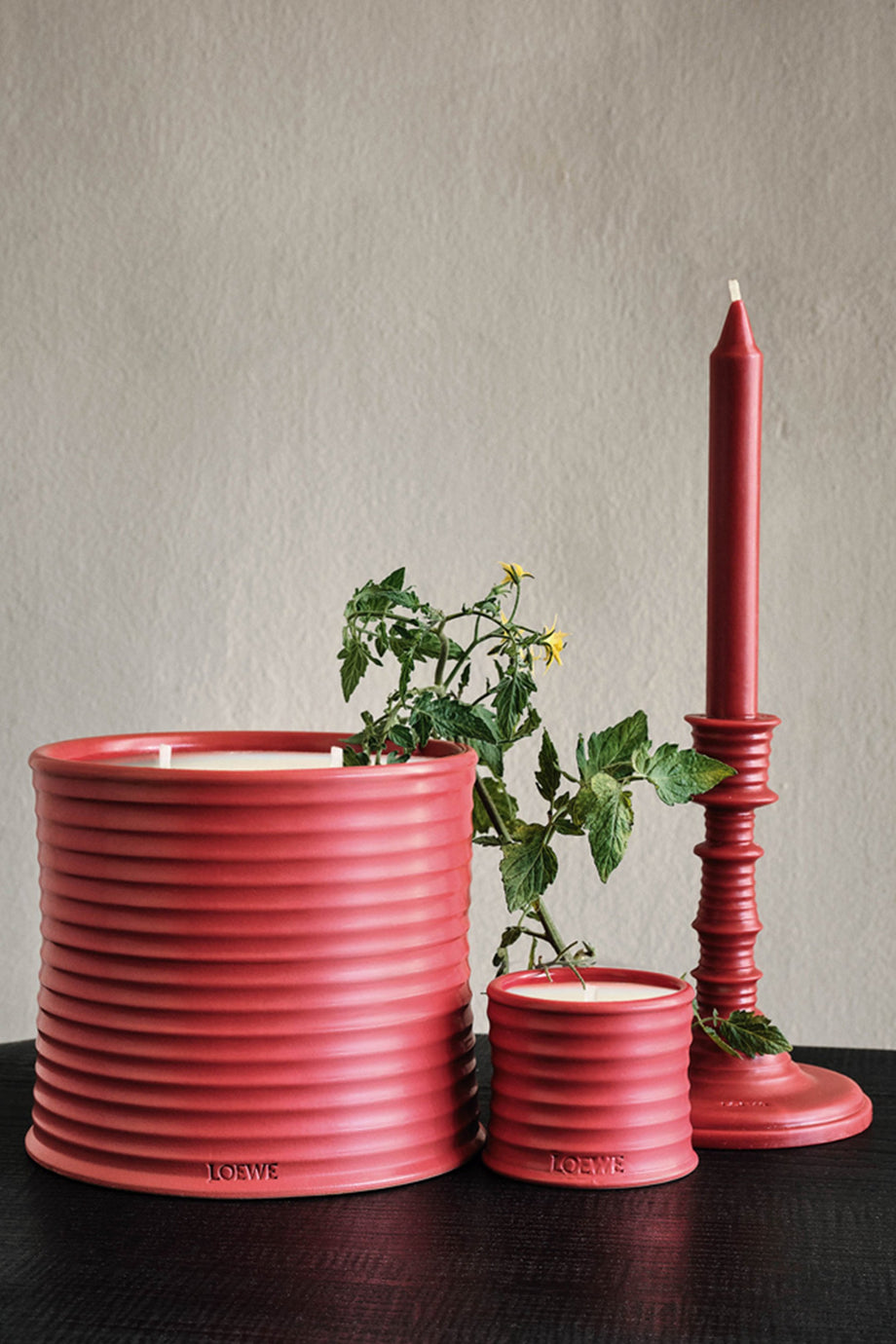 Tomato Leaves Scented Mum Taze ve Doğal Bir Koku Deneyimi, 610G