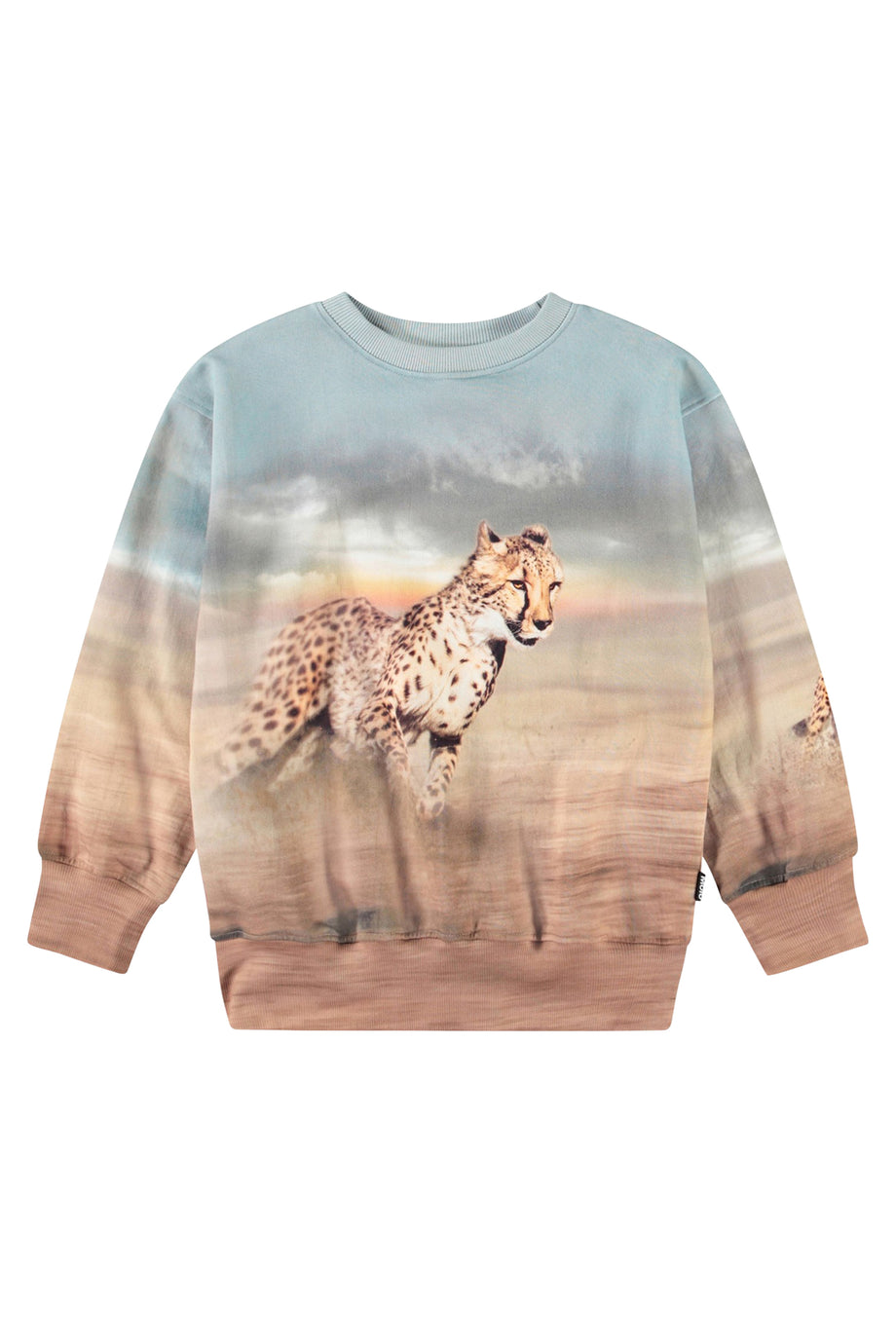 Çocuklar İçin Mattis Koşan Çitalar Sweatshirt - Renkli