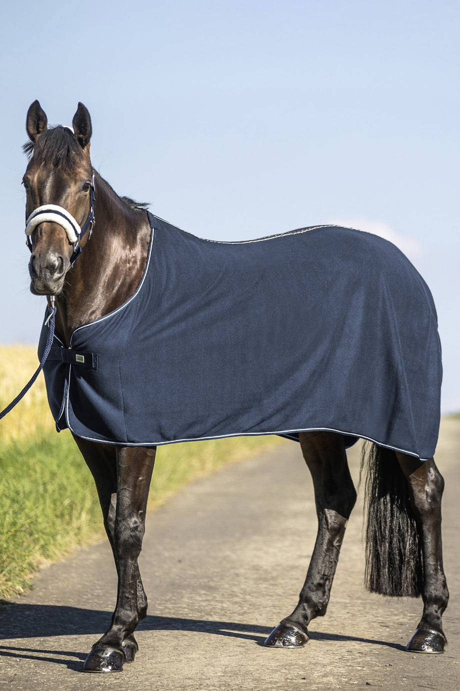 Polar Fleece At Battaniyesi