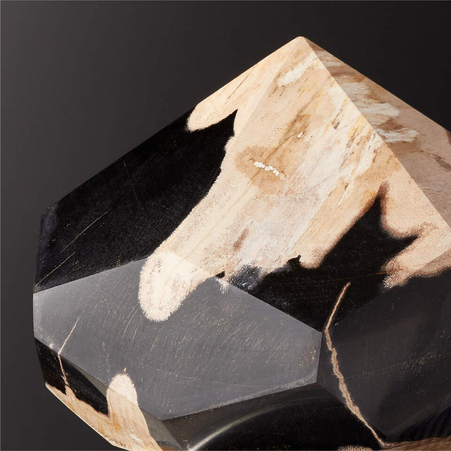 Taşlaşmış Ağaç Nesnesi, El Yapımı, Benzersiz Fosilleşmiş Ağaç Heykeli