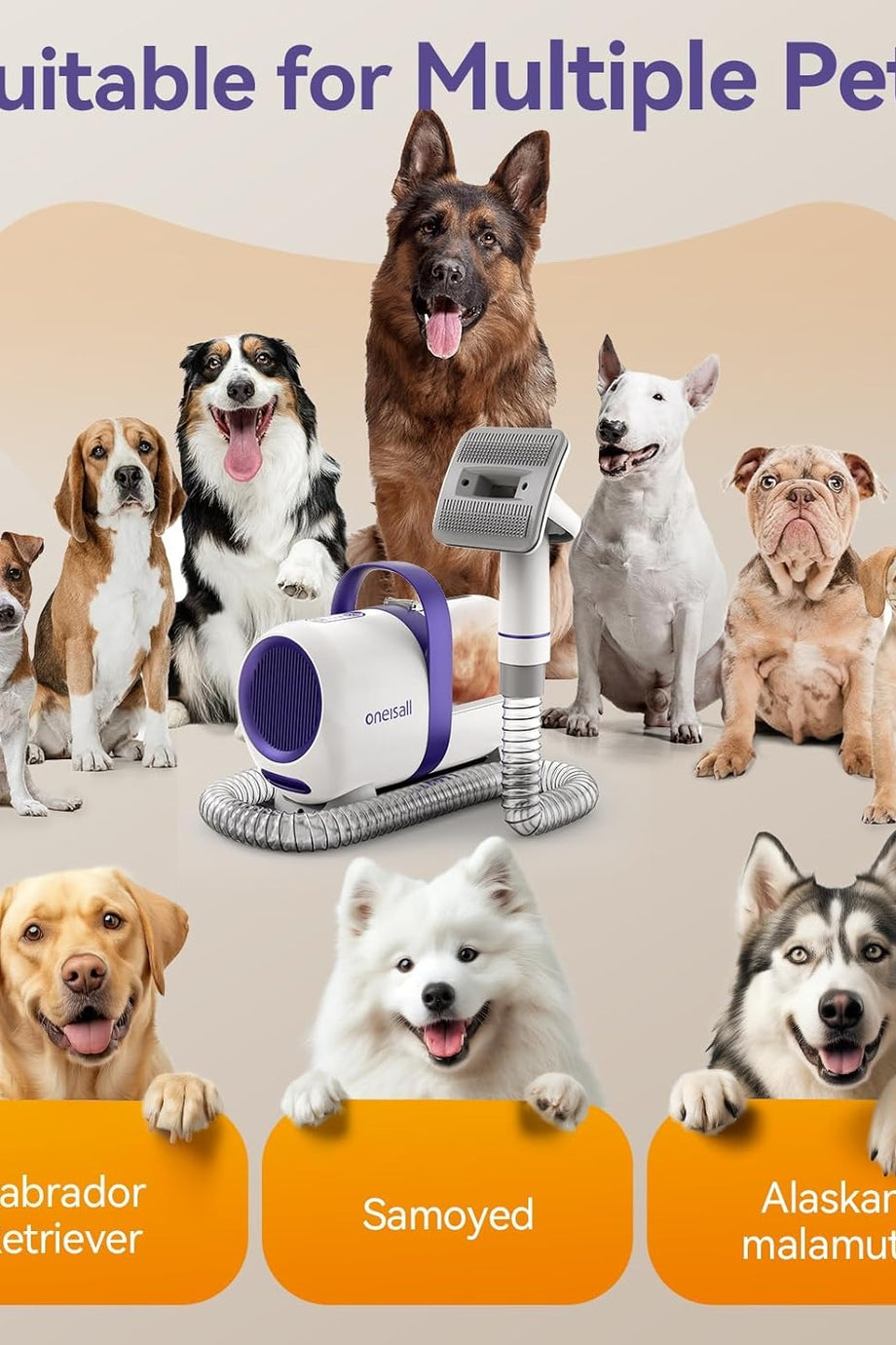 Köpek Tüyü Vakum Makinesi, 12000 Pa Güçlü Emiş, 4 Başlıklı Tüy Temizleyici Seti