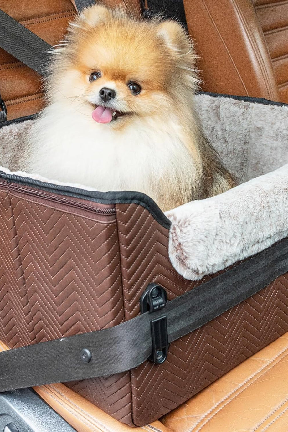 Küçük Köpekler İçin Araba Koltuğu, 8 kg’a Kadar, Peluş Yastıklı, Güvenli, Katlanabilir