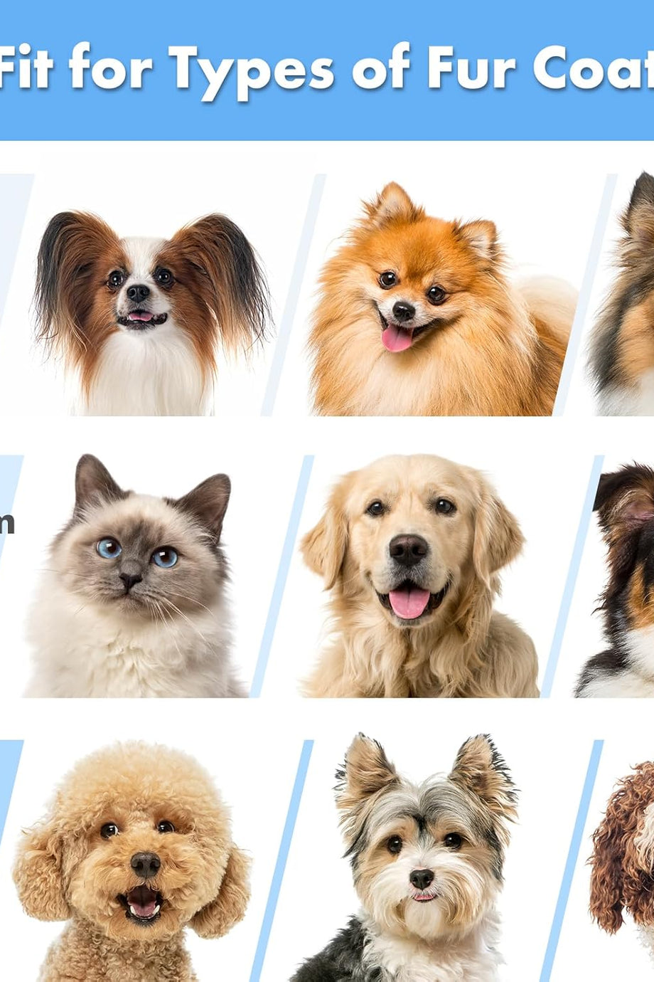 P2 Pro Köpek Kesme Makinesi, Sessiz ve Güçlü 5’i 1 Arada Evcil Hayvan Bakım Seti