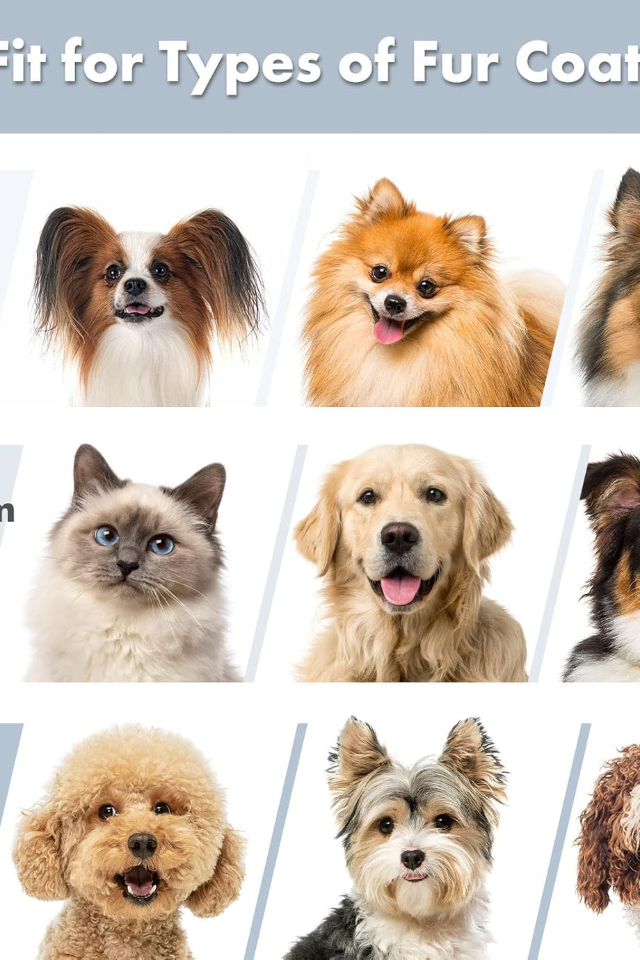 P2 Pro Köpek Kesme Makinesi, Sessiz ve Güçlü 5’i 1 Arada Evcil Hayvan Bakım Seti