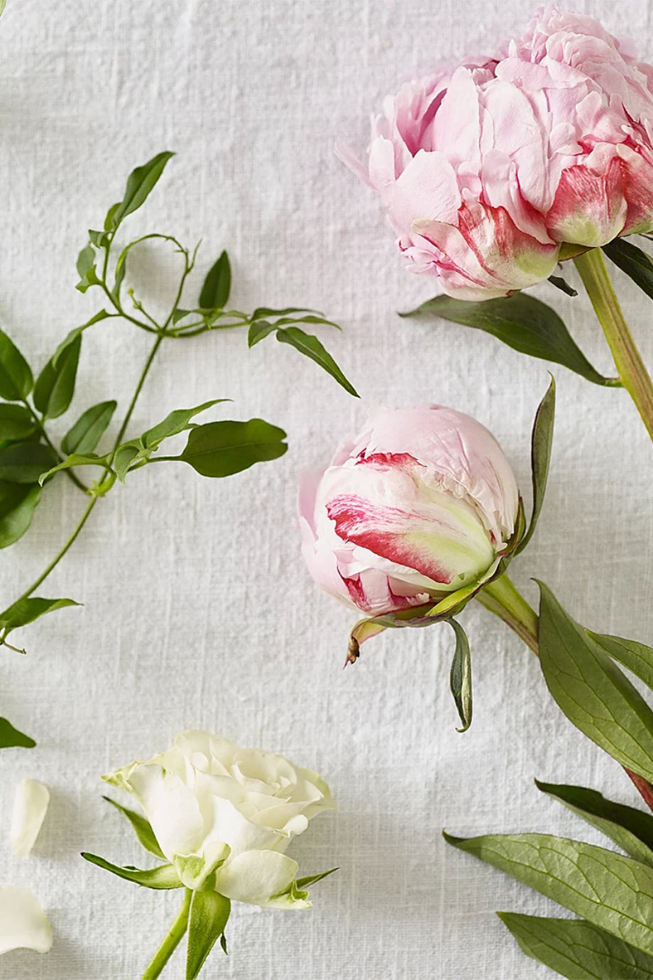 Peony Banyo ve Vücut Bakım Hediye Seti