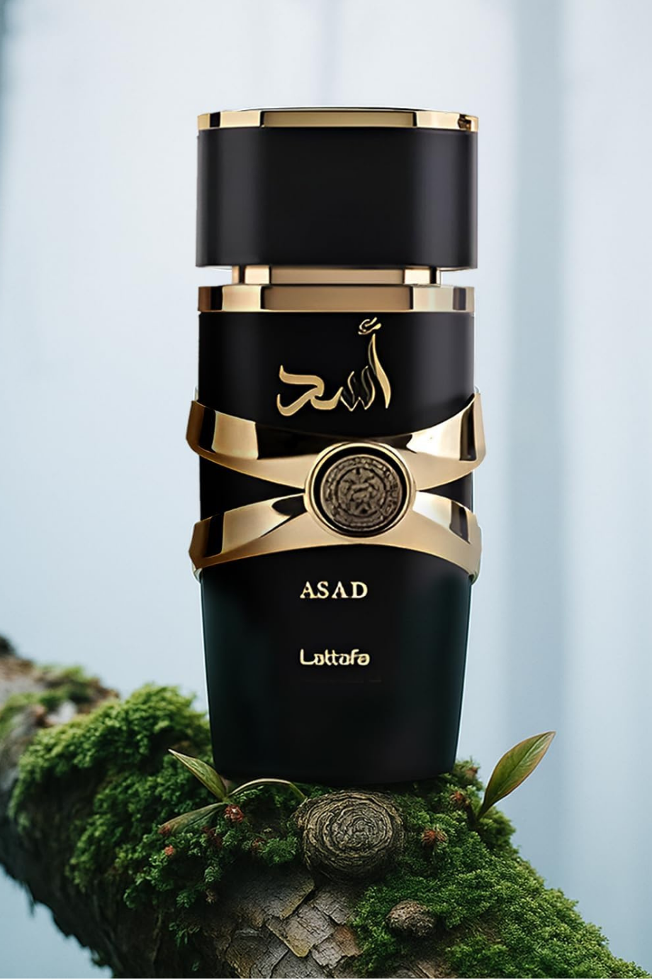 Asad Erkek Edp Parfüm, 100 ml