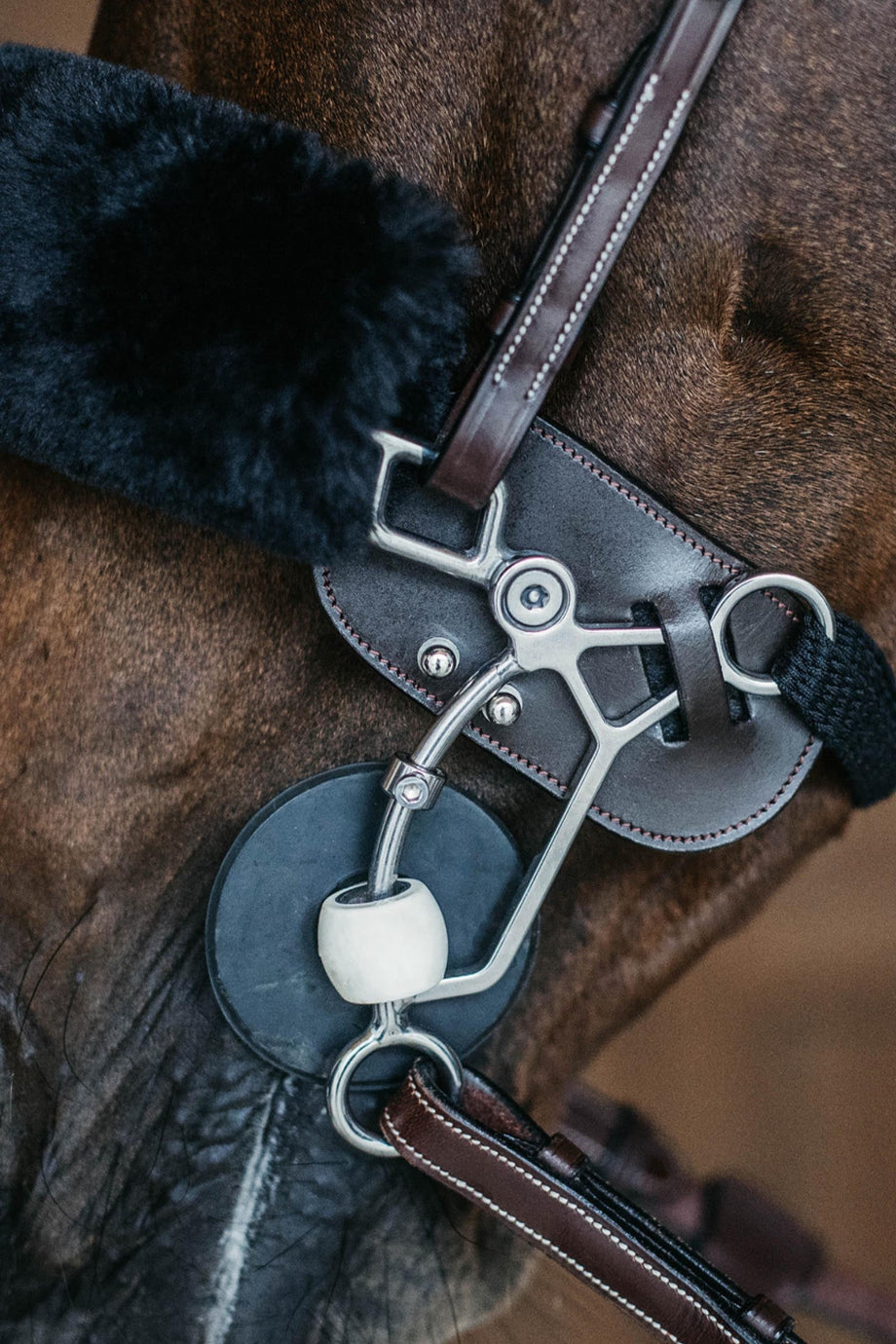 Premium Hackamore Deri At Binicilik Koruyucu Seti
