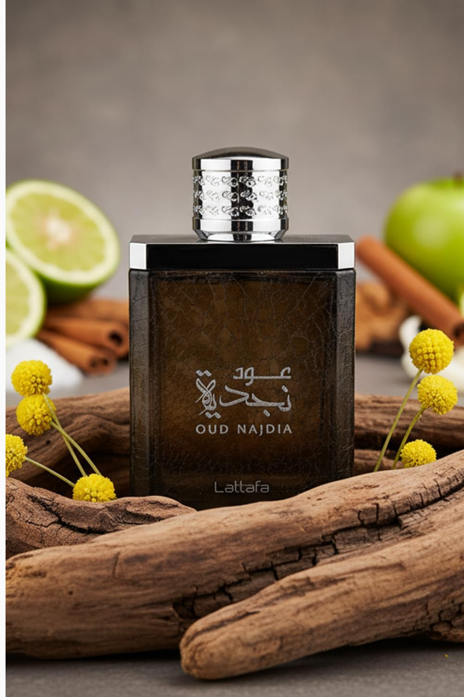 Oud Najdia Unisex EDP 100 ml Parfüm