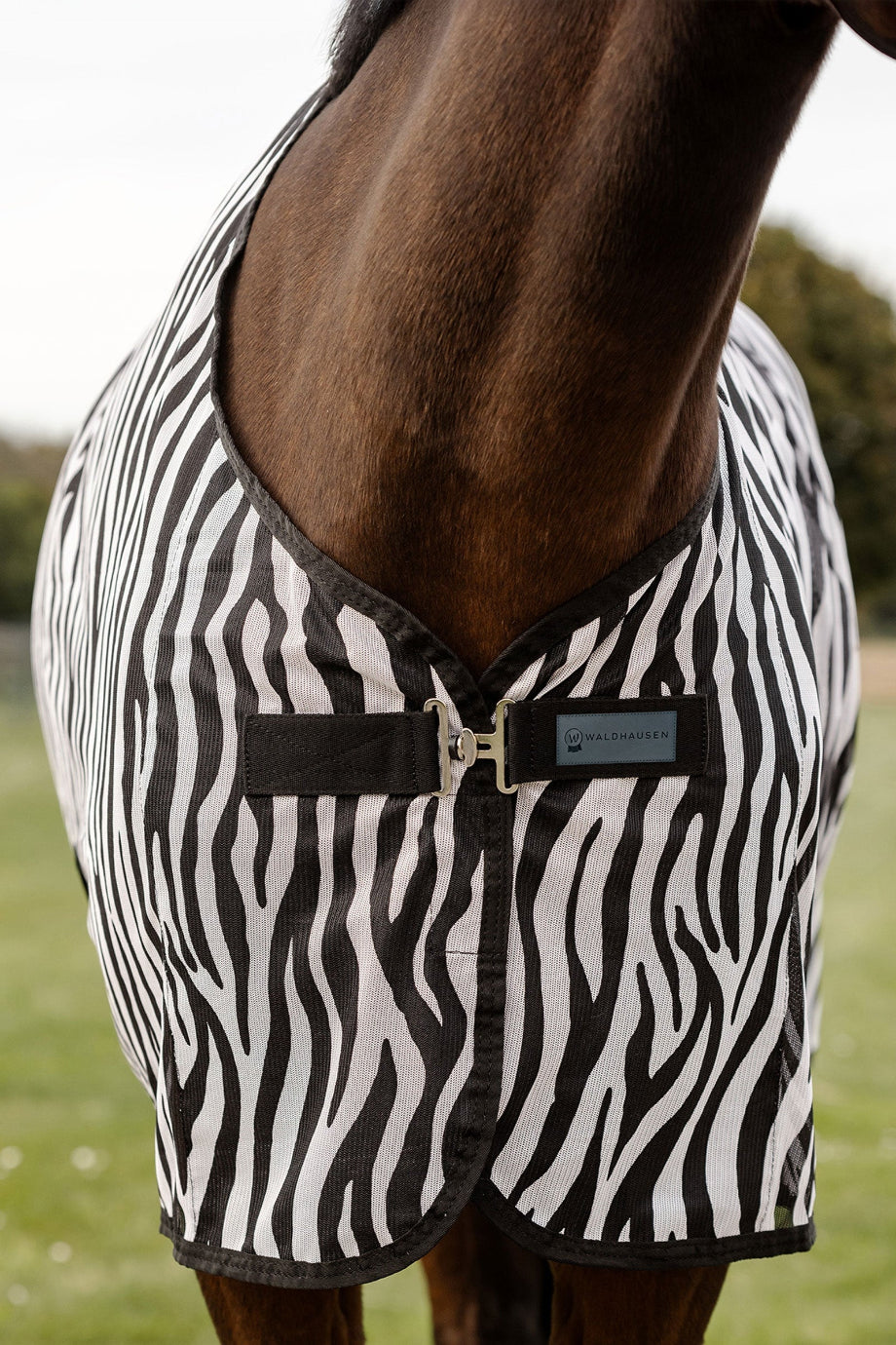 Zebra Sinek At Örtüsü Çapraz Kayışlı