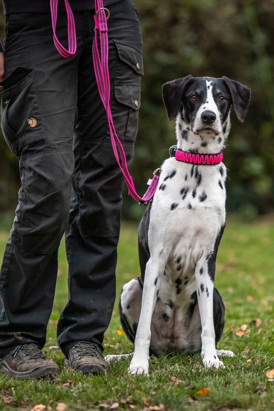 Ayarlanabilir Kauçuk Kaplamalı Köpek Gezdirme Tasması 230 cm