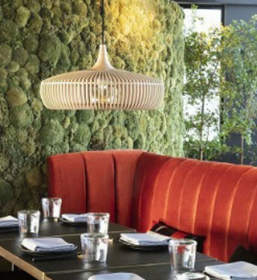 Clava Dine Sarkıt Lamba, Meşe Ahşap, E27 LED Ampul (43 cm)