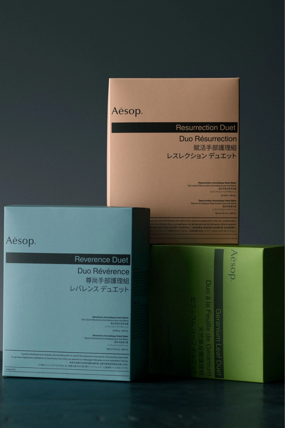 Reverence Duet El Yıkama ve El Bakım Seti