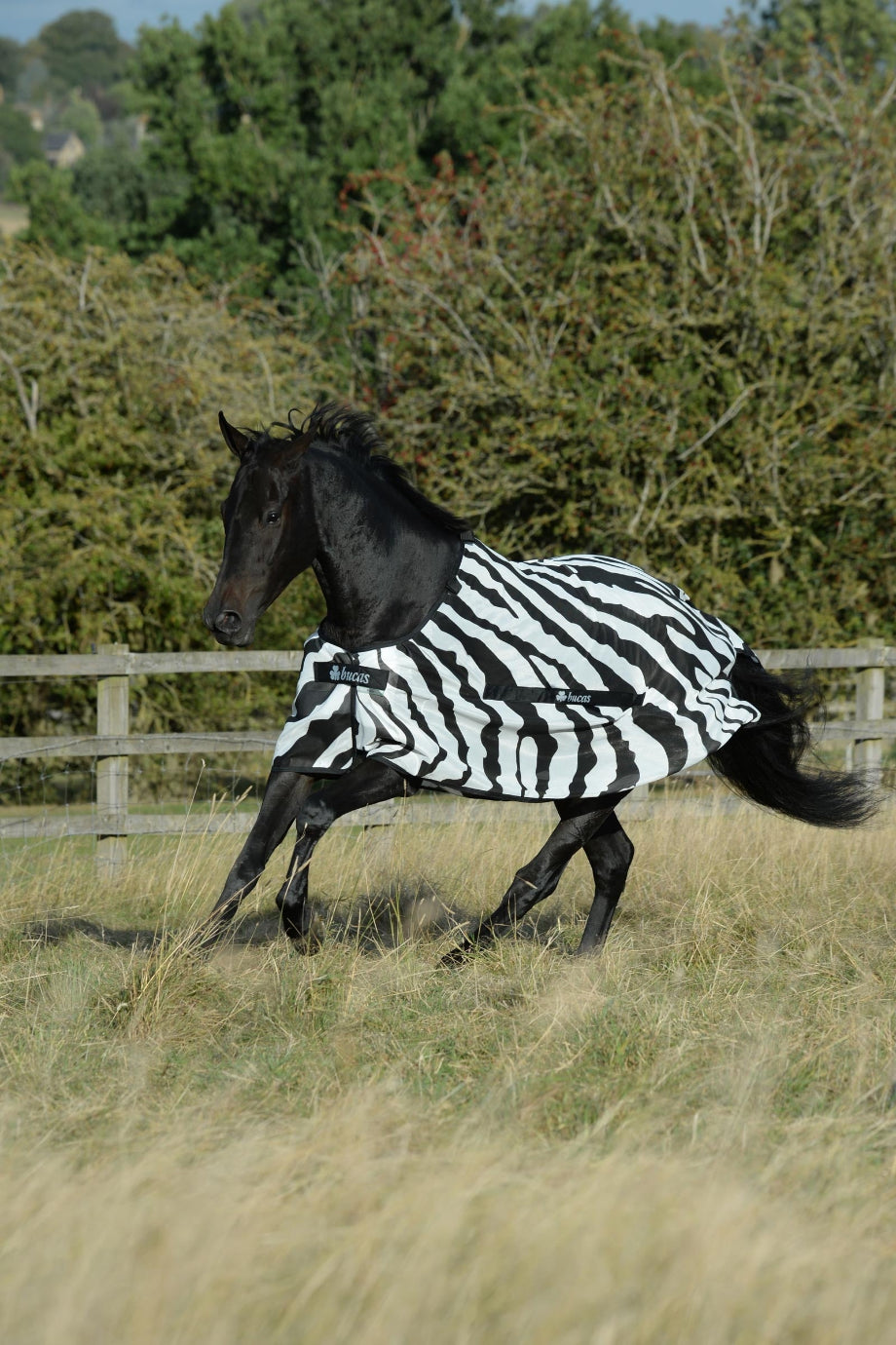Buzz-Off Zebra Lüks Sinek Koruyucu At Örtüsü