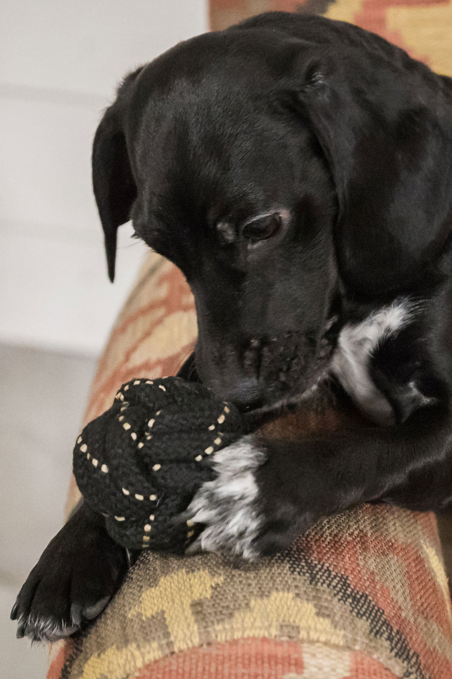 Köpek İpli Top Oyuncağı Rope Ball
