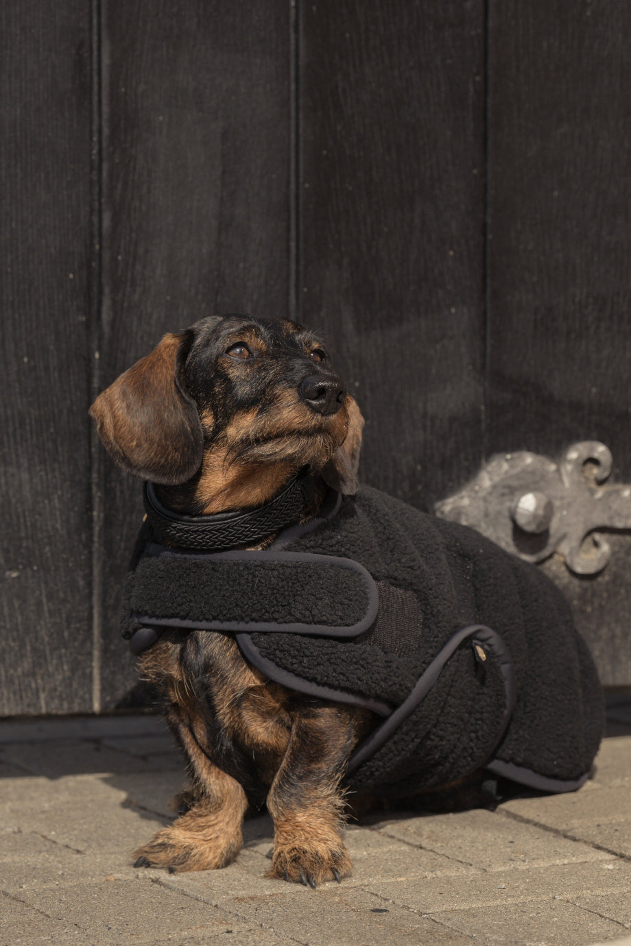 Heritage 24 Teddy Köpek Montu Sıcak ve Konforlu Tasarım