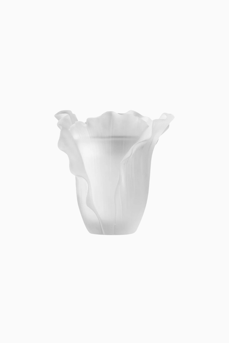 White Cabbage Buhur Seti