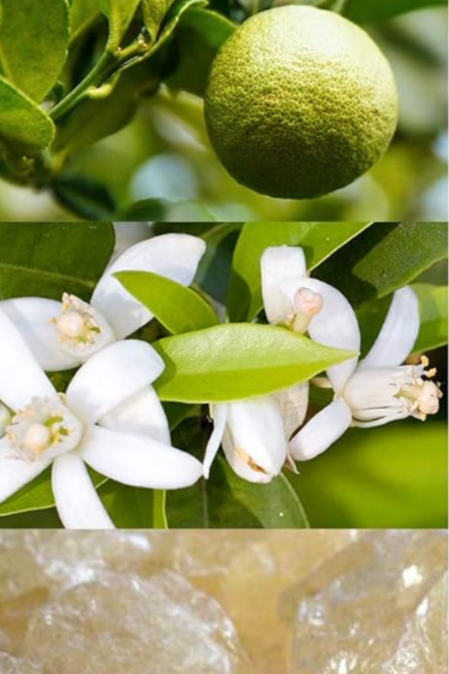 Orange-Bergamot El Kremi 40 ml