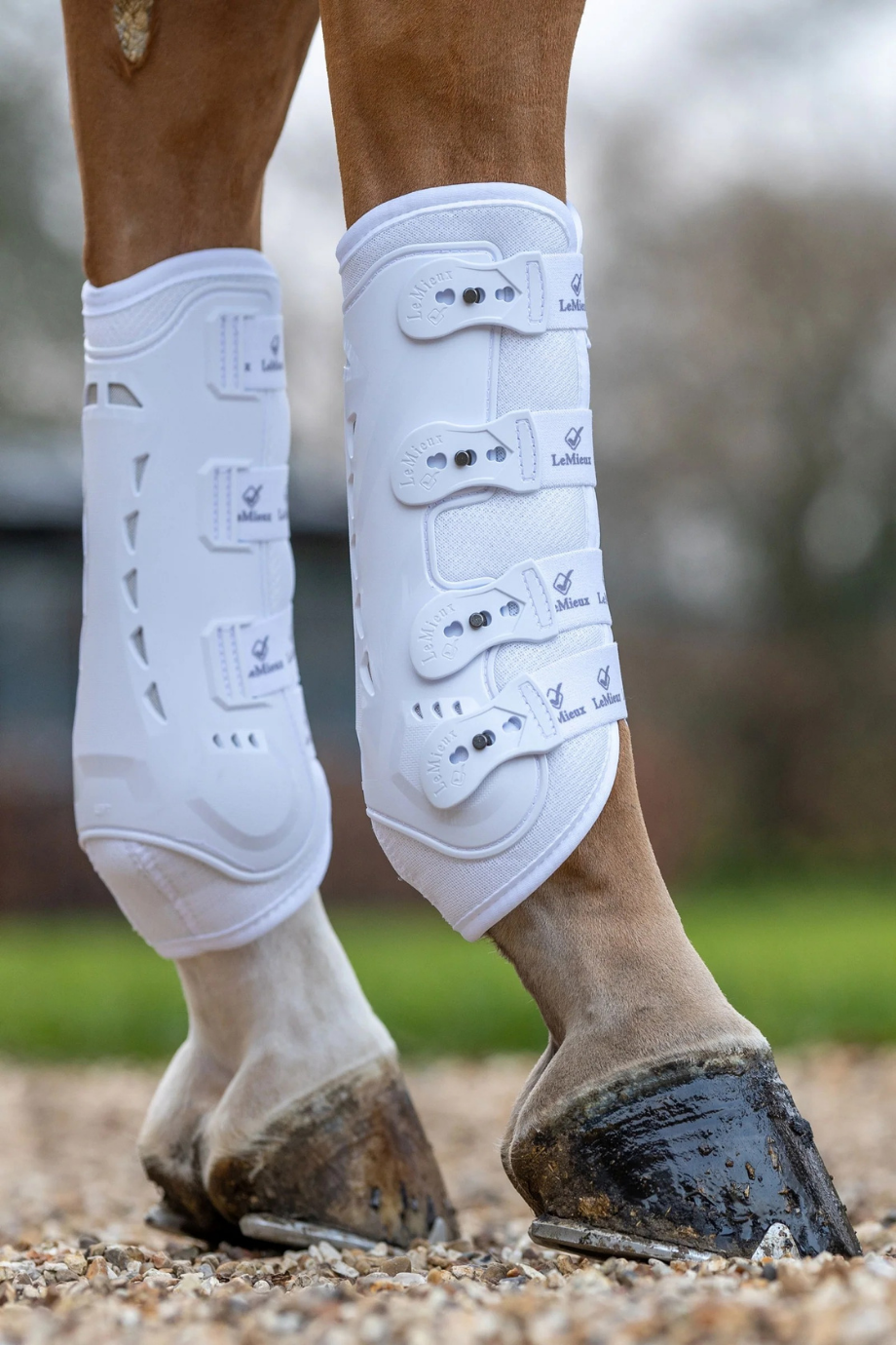 Ultra Mesh Snug Şok Emici At Tozlukları (Arka)