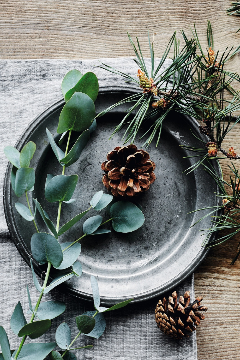 Fir Tree Botanical Mum, Orta Boy