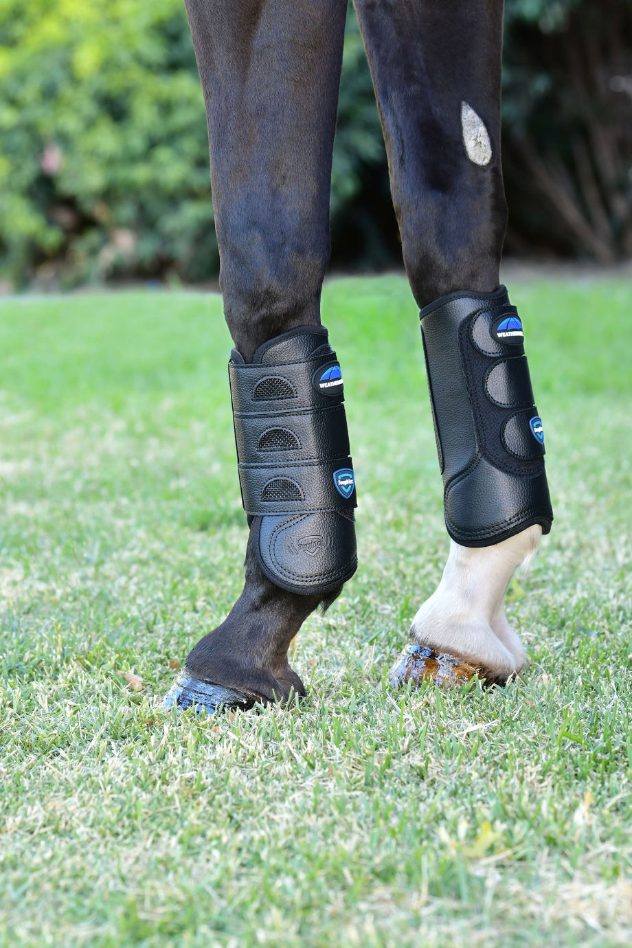 Tough-Tec Eventing Ön Bacak Koruyucu Tozluk
