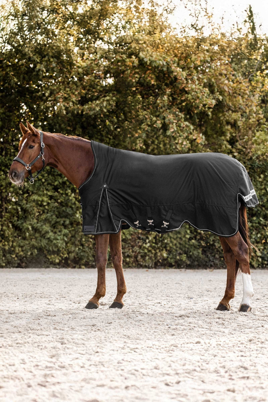 Scandic High Neck 200g Kışlık At Örtüsü