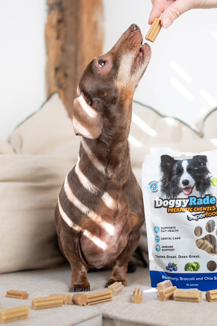 Prebiyotik Superfood Köpek Çiğneme Ödülü 16’lı