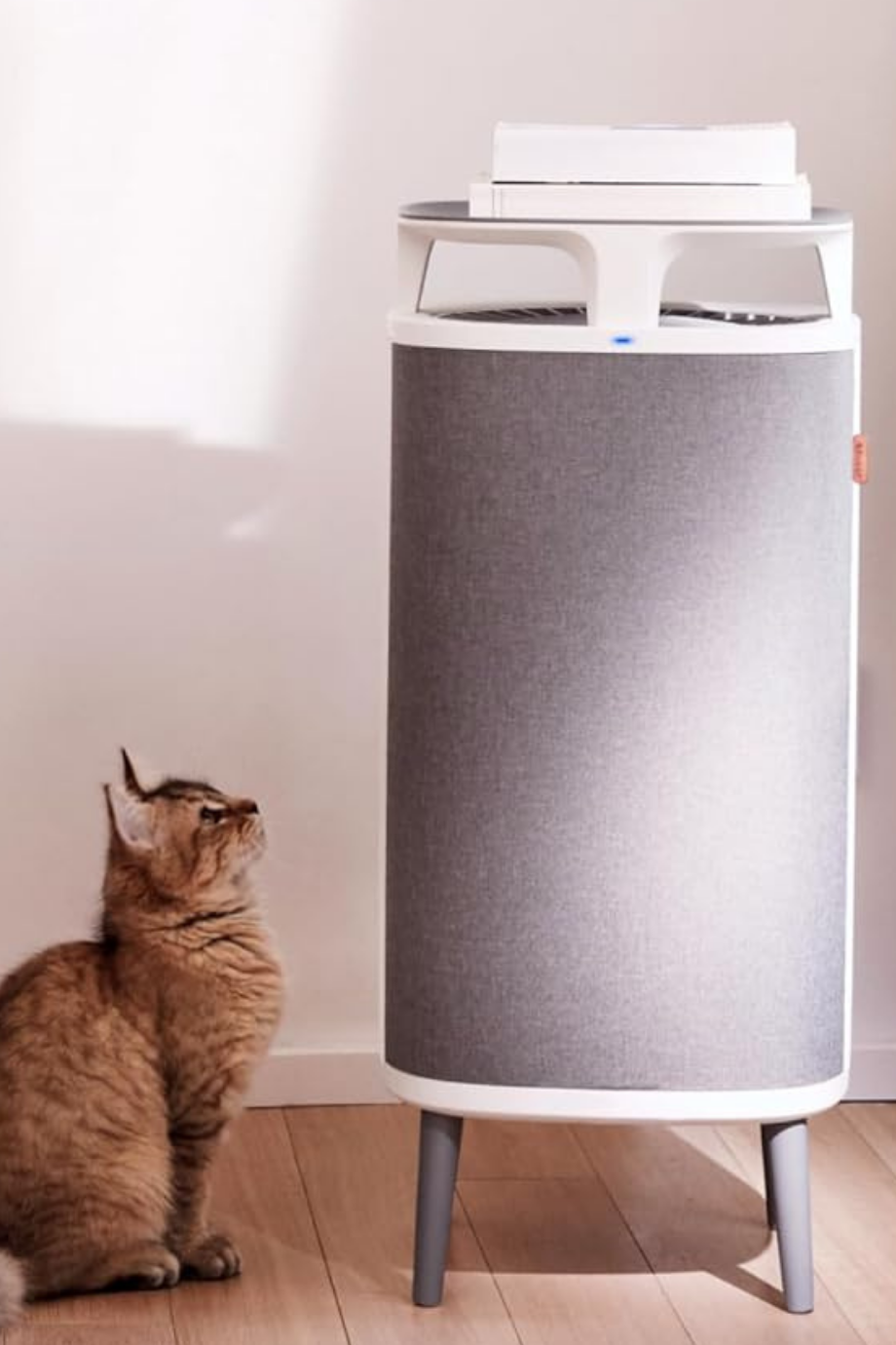 DustMagnet 5240i Hava Temizleyici 48 m², HepaSilent, Gri