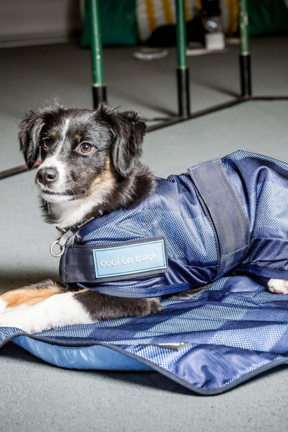 Cool on Track™ Serinletici Köpek Havlu