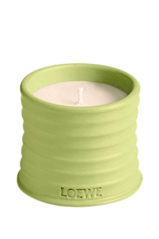 Salatalık Kokulu Mum Taze ve Ferahlatıcı Bitkisel Balmumu