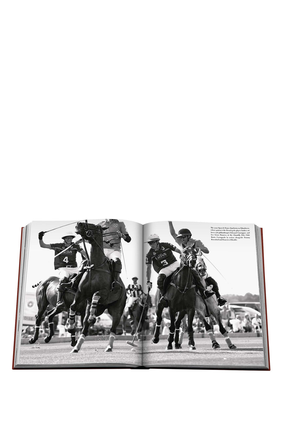 Polo Mirası, Polonun Tarihi ve Küresel Etkisi