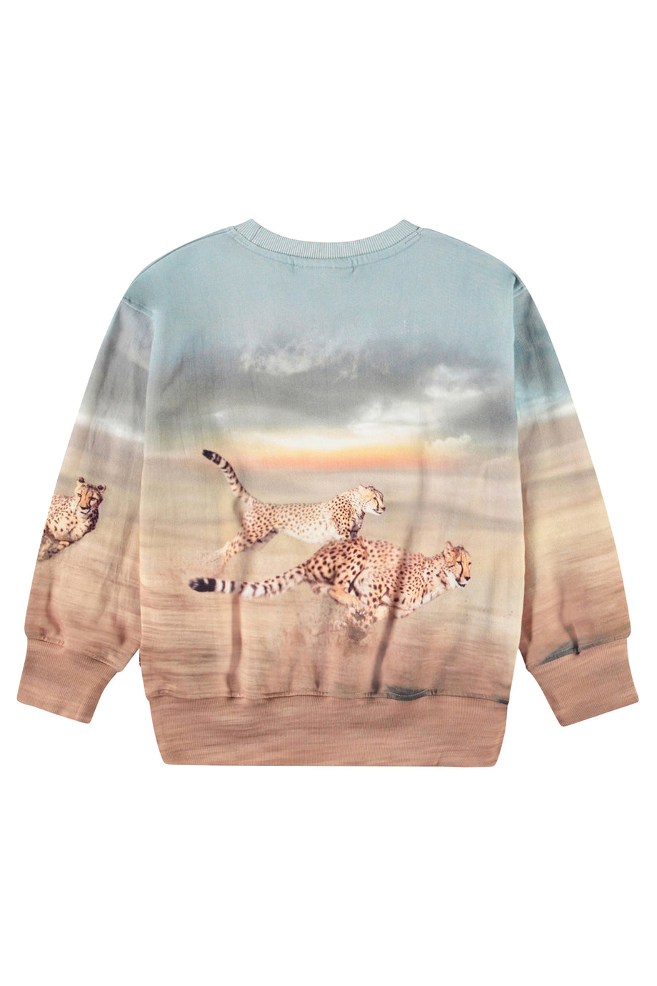 Çocuklar İçin Mattis Koşan Çitalar Sweatshirt - Renkli