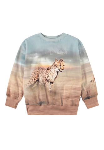 Çocuklar İçin Mattis Koşan Çitalar Sweatshirt - Renkli