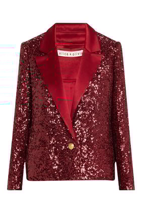 Devyn Pırıltılı Ceket