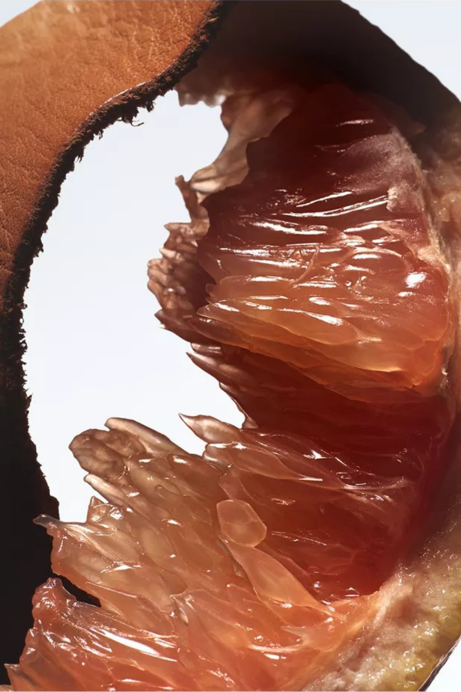 Bitter Splash Eau de Parfum 100ml Greyfurt, Deri & Vetiver Notalı Lüks Koku