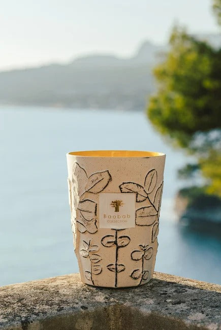 Max 24 Folia Calanque Kokulu Mum, Okaliptüs Motifli Beyaz Seramik, Bergamot & Yeşil Çay Kokusu