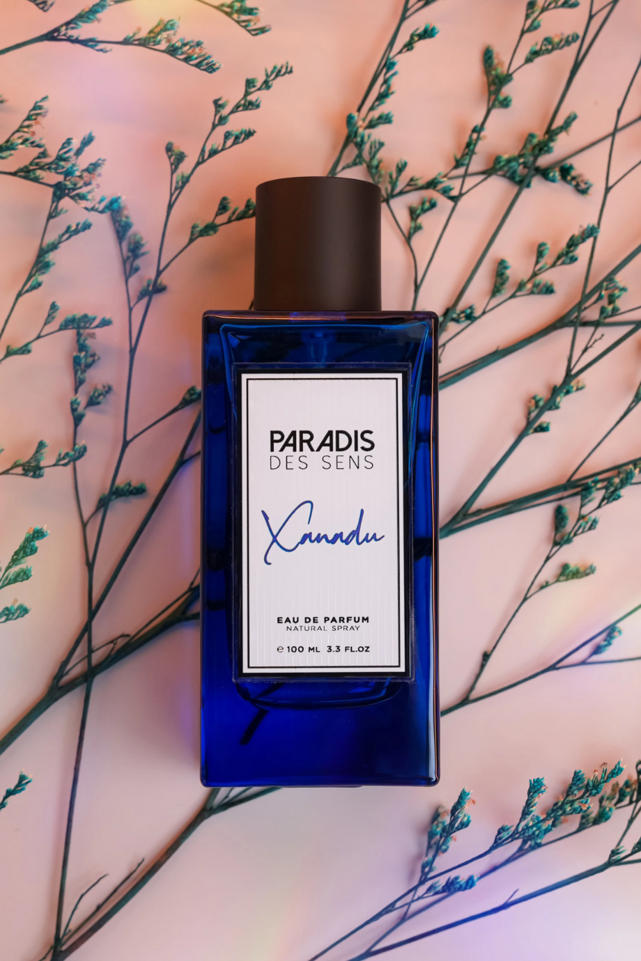Xanadu Eau de Parfum 100 ml, Romantik & Büyüleyici Koku