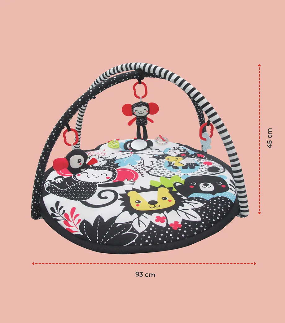 Taşınabilir Oyun Halısı 0-6 Ay Bebek Gelişim Matı