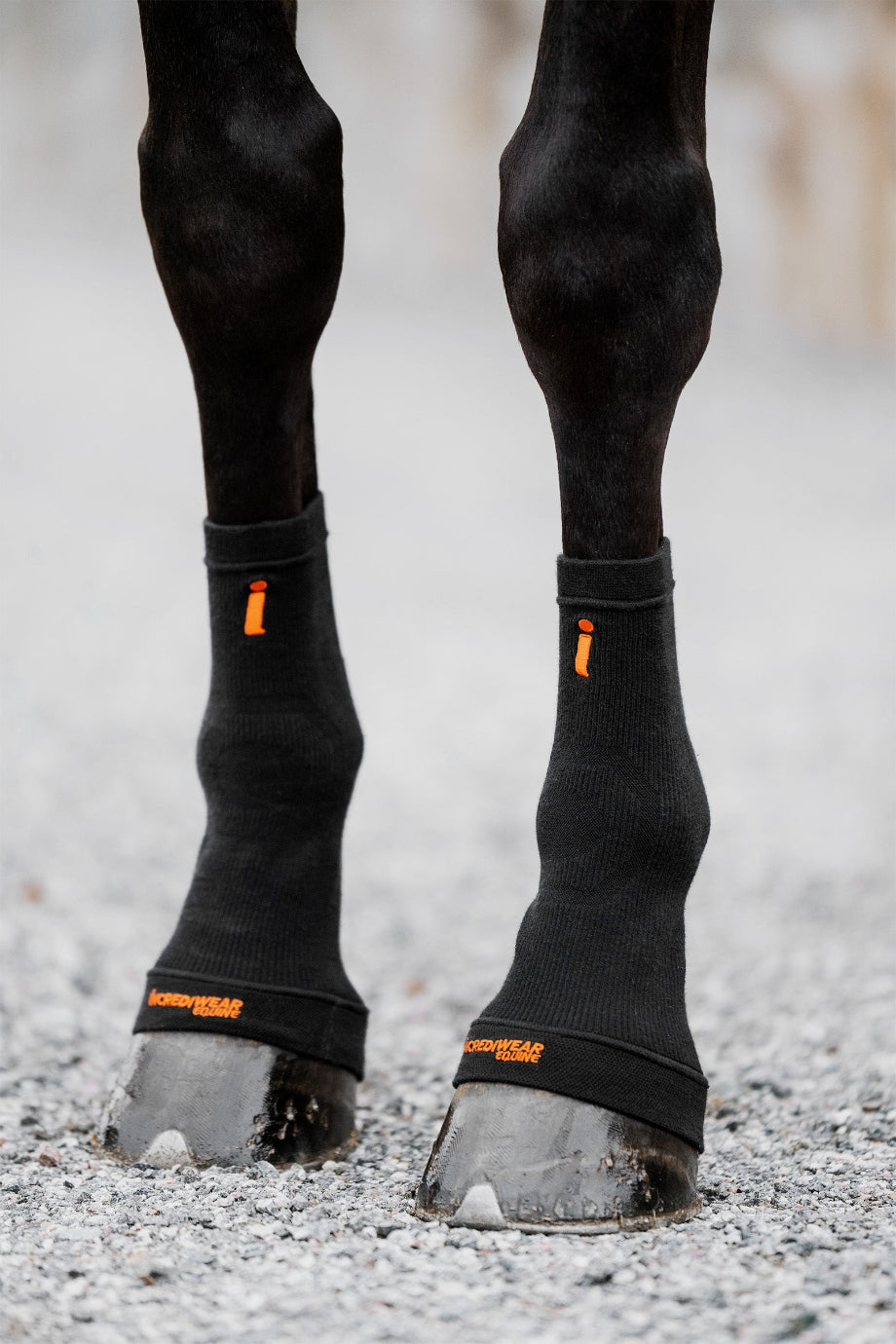 Equine Dolaşım Destekleyici Tırnak Çorabı
