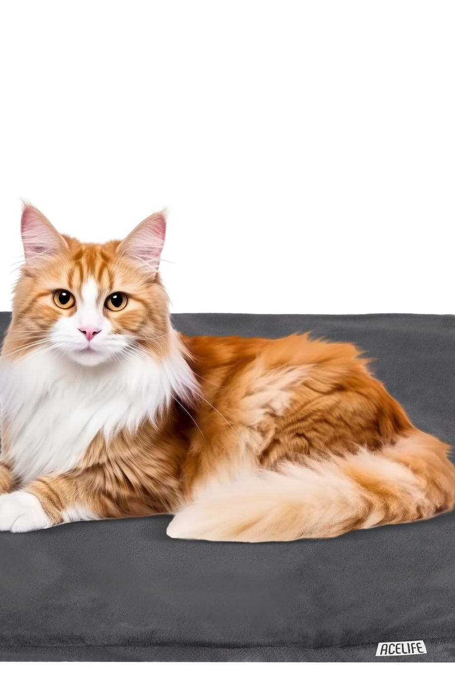 Evcil Havan Isıtıcı Ped, Kediler, Köpekler ve Tavşanlar İçin Ayarlanabilir Isı & Zamanlayıcı