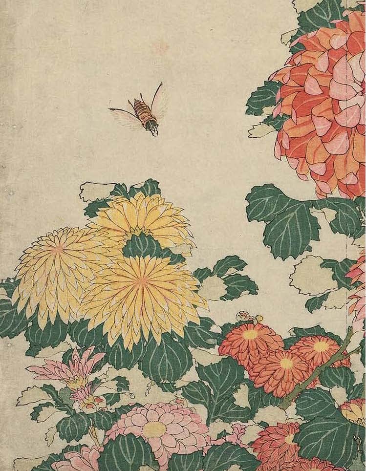 Pictures of the Floating World, Edo Dönemi Japon Baskı Sanatı, Boston MFA Koleksiyonu