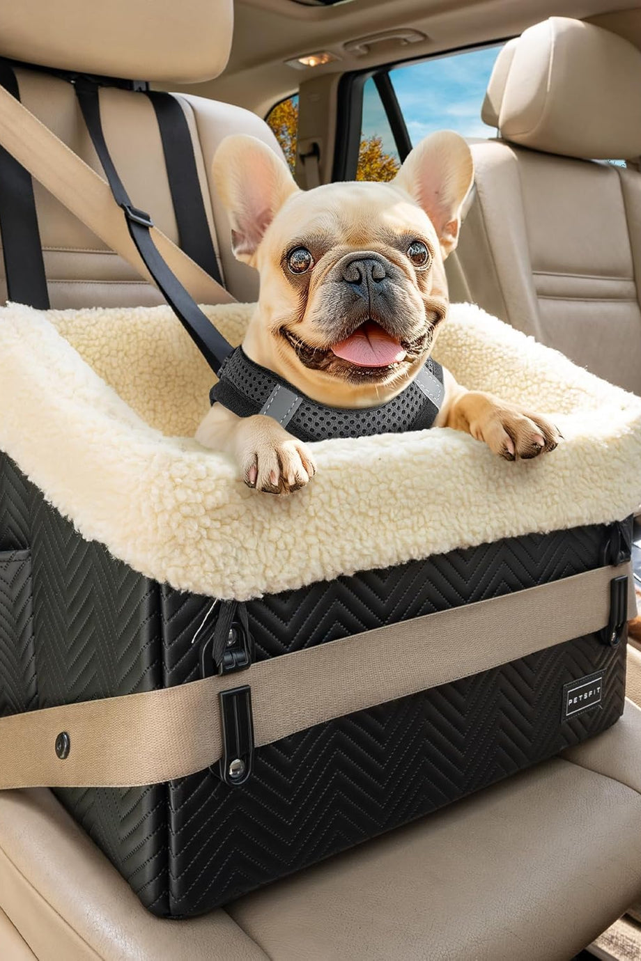 Köpek Araba Koltuğu, Güvenlikli, Katlanabilir ve Yıkanabilir, Küçük Köpekler İçin