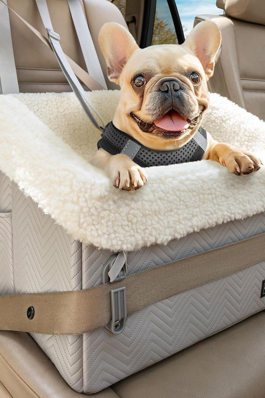 Köpek Araba Koltuğu, Güvenlikli, Katlanabilir ve Yıkanabilir, Küçük Köpekler İçin