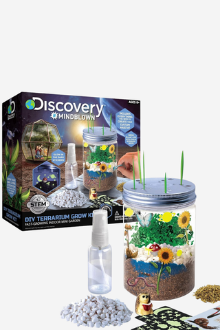 DIY Mini Terrarium Bahçe Kiti STEM Ekosistem Oyuncağı ve Tohum Seti