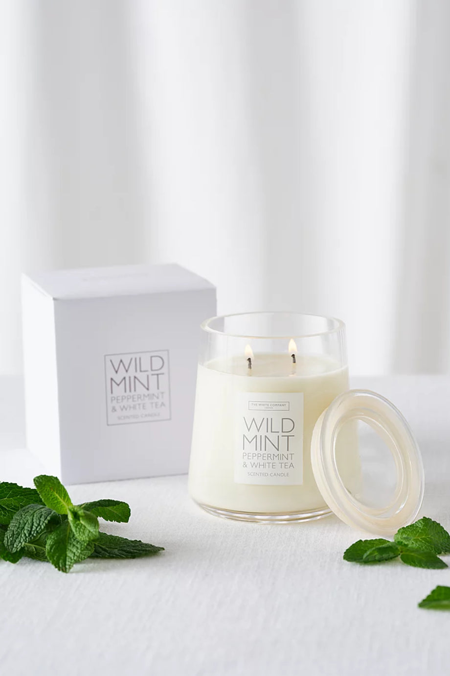 Wild Mint Nane Kokulu Mum 380 g