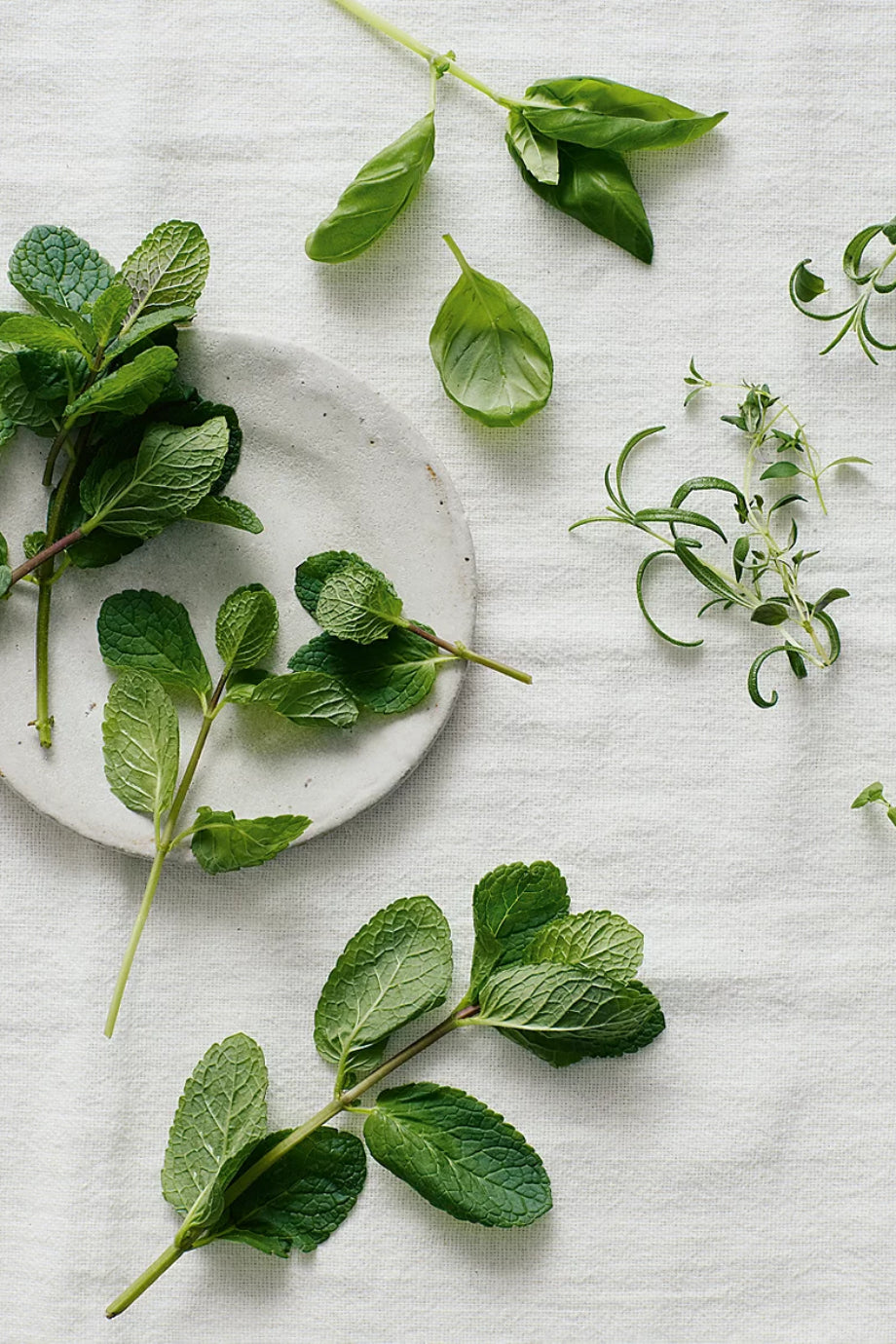 Wild Mint Çubuklu Oda Kokusu Difüzör 300 ml