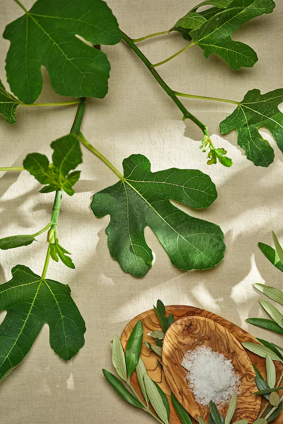 Provence Lüks Nemlendirici El ve Vücut Yıkama Jeli