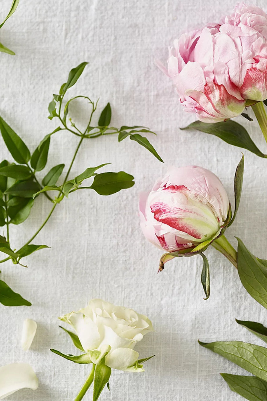 Peony Saç ve Vücut Spreyi